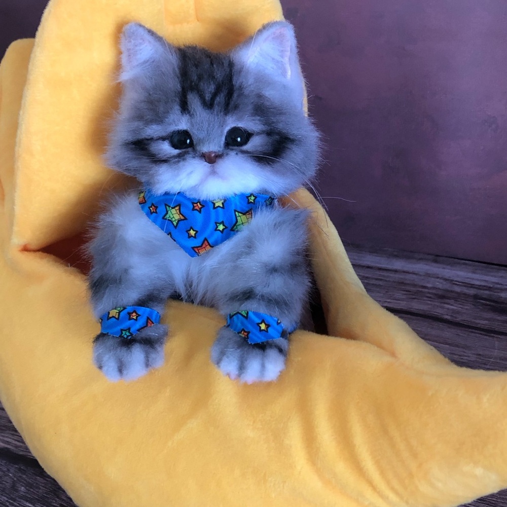 Paw Piece Set ⭐️